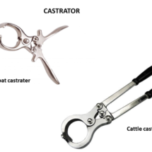 Castrator