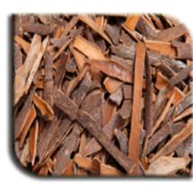 Cinnamon