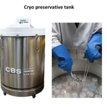 Cryopreservative Tank