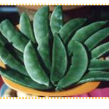 Dolichos Bean