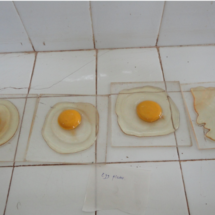 Egg Plates
