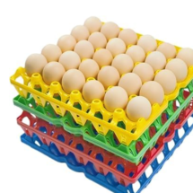 Egg Trays