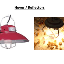 Hover Reflectors
