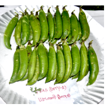 PEAS