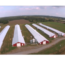 Poultry Farm