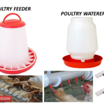 Poultry Feeder and Waterer